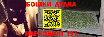 МДПВ Дубна