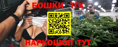 МДПВ Дубна