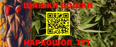 МДПВ Дубна