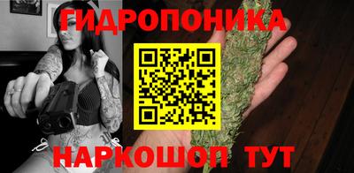 МДПВ Дубна