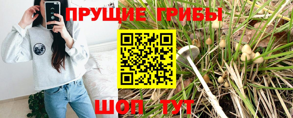 Муром  Галлюциногенные грибы GOLDEN TEACHER  купить  сайты  Вход с VPN 