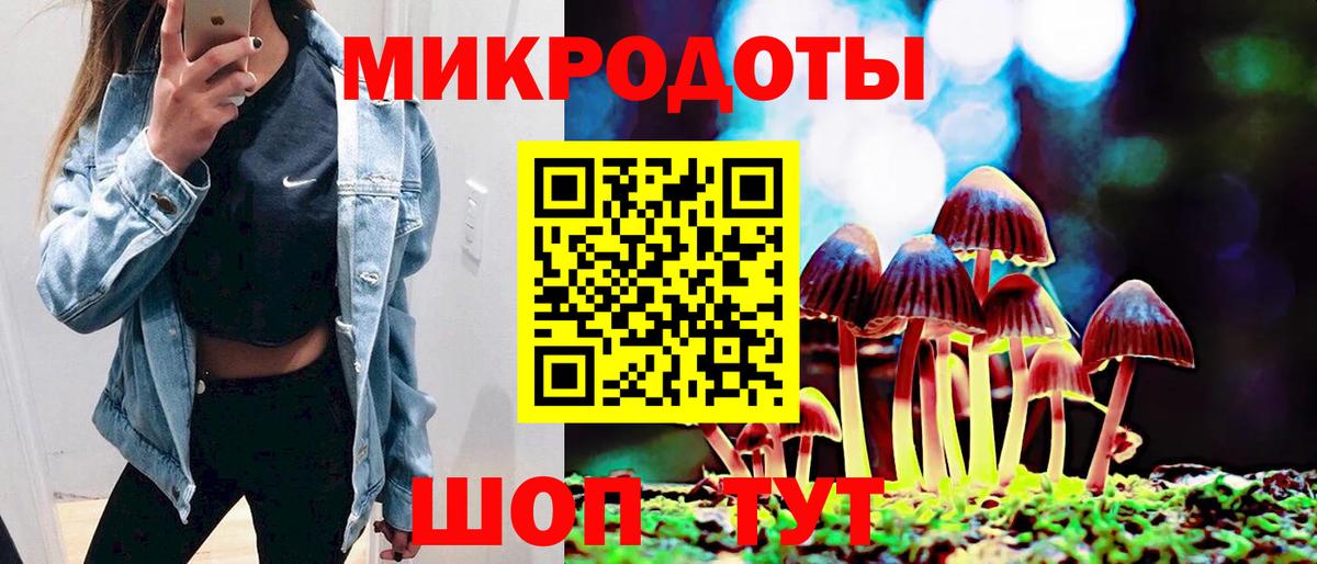 Псилоцибиновые грибы прущие грибы Муром